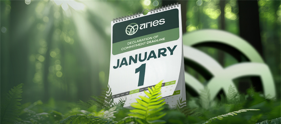 Stepping Forward with Confidence